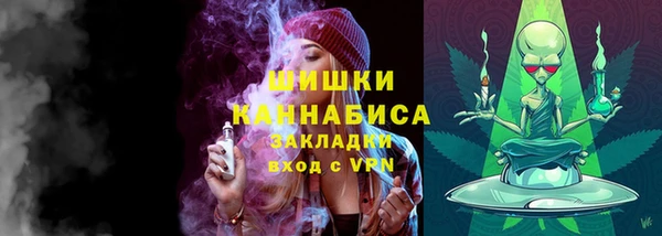 трава Бородино