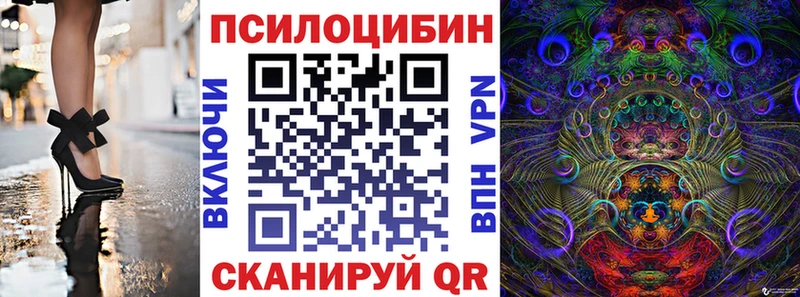 Псилоцибиновые грибы GOLDEN TEACHER  где продают   Новоржев 